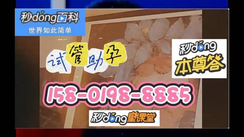 借卵试管代怀机构(借卵试管代怀机构：助您圆梦成为父母)