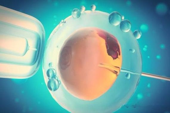 深圳三代供卵试管代生宝宝-深圳三代供卵试管代生宝宝的奇幻故事