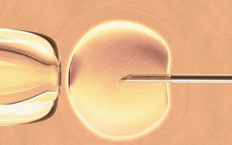 深圳试管供卵包成功-深圳试管供卵包成功:成功助您实现生育梦想