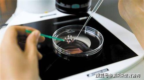 深圳供卵试管公司-深圳供卵试管公司:助您实现梦想