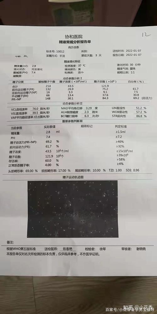 借卵试管代怀微信群(借卵试管代怀微信群,共享生育经验)