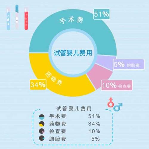借卵试管代怀的全包费用_借卵试管代怀全包费用指南