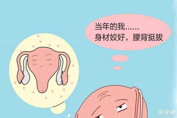 借卵生子对女人的危害_借卵生子:女性的健康危害