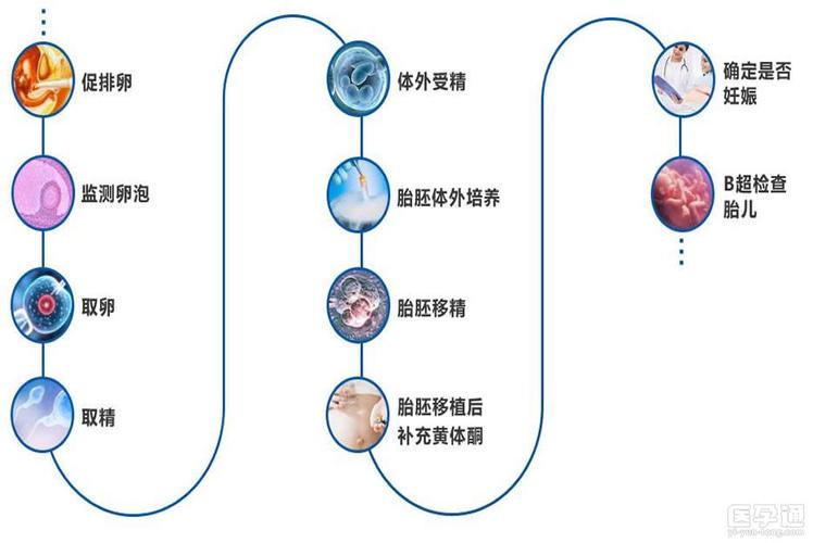 借卵试管代怀方法【借卵试管代怀:新生命的奇迹】